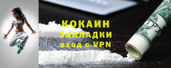 прущие грибы Балахна