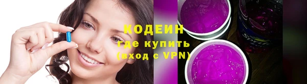 прущие грибы Балахна