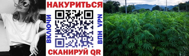 нарко площадка клад  mega как зайти  Топки  МАРИХУАНА White Widow 